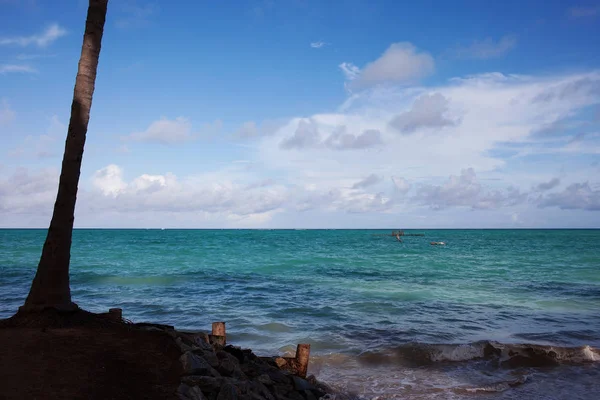 Schilderachtig Uitzicht Maragogi Praia Xaru — Stockfoto