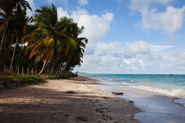 Scenic View Maragogi Praia Xaru — Stock Photo, Image