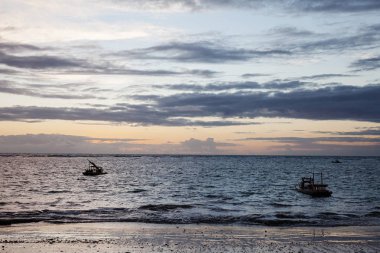 güzel Porto de Galinhas doğal görünümü