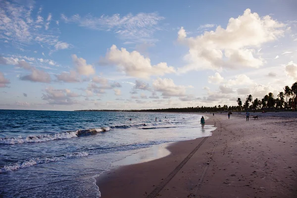 Vista Panoramica Sulla Bellissima Porto Galinhas — Foto Stock