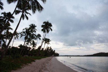 Güzel görünümü (Capela de So Benedito) St Benedict ve Carneiros Beach Şapel (Praia dos Carneiros), Pernambuco, Brezilya. Carneiros Plajı Laik Şapeli. Palmiye ağaçları ile plajda Kilise. 