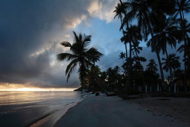 Güzel görünümü (Capela de So Benedito) St Benedict ve Carneiros Beach Şapel (Praia dos Carneiros), Pernambuco, Brezilya. Carneiros Plajı Laik Şapeli. Palmiye ağaçları ile plajda Kilise. 