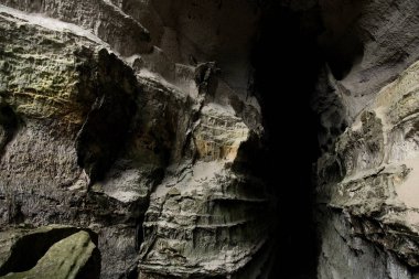 zemin olarak vahşi doğanın güzel doğal görünümü