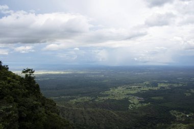 zemin olarak vahşi doğanın güzel doğal görünümü
