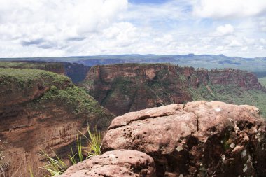 zemin olarak vahşi doğanın güzel doğal görünümü