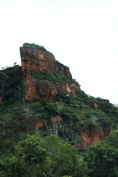 以野生自然美景为背景 — 图库照片