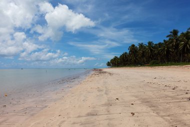Patacho Plajı, Porto de Pedras, Alagoas Eyaleti, Brezilya. Doğal havuzlar, kristal su ile cennet plaj. 