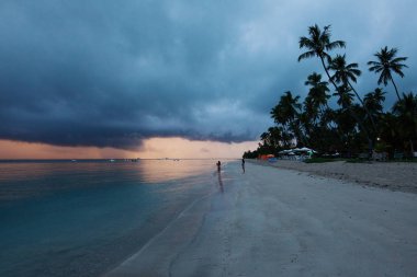 Patacho Plajı, Porto de Pedras, Alagoas Eyaleti, Brezilya. Doğal havuzlar, kristal su ile cennet plaj. 