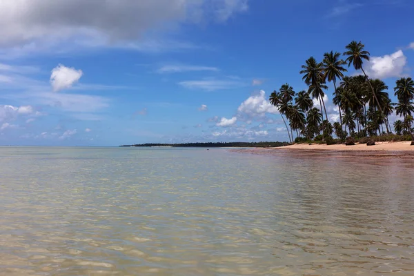 Patacho Plajı, Porto de Pedras, Alagoas Eyaleti, Brezilya. Doğal havuzlar, kristal su ile cennet plaj. 