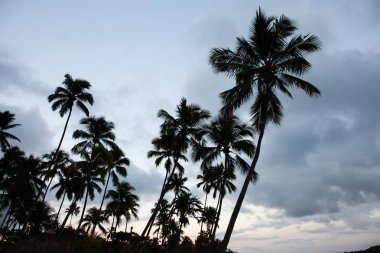 Praia dos carneiros doğal görünümü