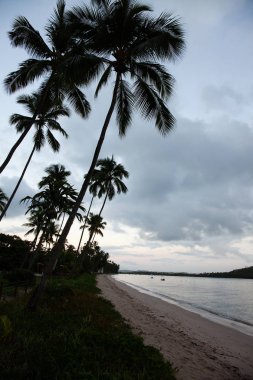 Patacho Plajı, Porto de Pedras, Alagoas Eyaleti, Brezilya. Doğal havuzlar, kristal su ile cennet plaj. 
