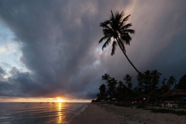 Carneiross Beach (praia dos carneiros), Pernambuco, Brezilya. Mavi gökyüzü ve kristal su ile Amazing Paradise plaj. Brezilya'nın en güzel plajlarından birinde deniz ile nehir Kavşağı 