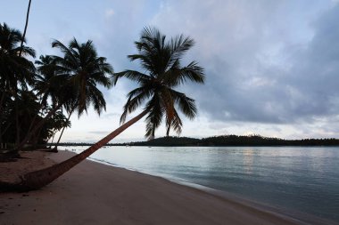 Carneiross Beach (praia dos carneiros), Pernambuco, Brezilya. Mavi gökyüzü ve kristal su ile Amazing Paradise plaj. Brezilya'nın en güzel plajlarından birinde deniz ile nehir Kavşağı 