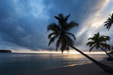 Carneiross Beach (praia dos carneiros), Pernambuco, Brezilya. Mavi gökyüzü ve kristal su ile Amazing Paradise plaj. Brezilya'nın en güzel plajlarından birinde deniz ile nehir Kavşağı 