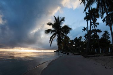 Carneiross Beach (praia dos carneiros), Pernambuco, Brezilya. Mavi gökyüzü ve kristal su ile Amazing Paradise plaj. Brezilya'nın en güzel plajlarından birinde deniz ile nehir Kavşağı 