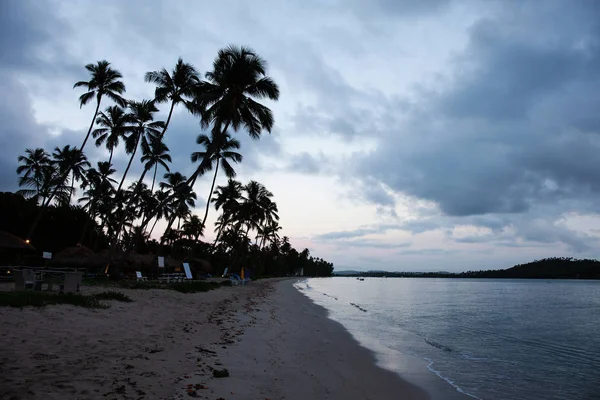 Patacho Beach Porto Pedras Alagoas State Brazylia Naturalne Baseny Rajska — Zdjęcie stockowe