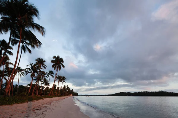 Carneyross Beach Felia Dos Carneiros Pernambuco Brazil Удивительный Пляж Парадизе — стоковое фото