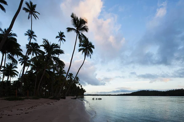 Carneiross Beach Praia Dos Carneiros Pernambuco Brazylia Niesamowita Plaża Paradise — Zdjęcie stockowe