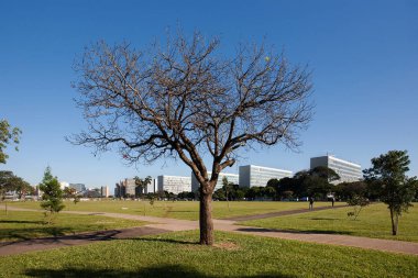 Brasilia, Brezilya - 15 Kasım 2016: Brezilya'nın başkenti Brasilia'daki Brezilya hükümetinin bakanlık binalarının sırası. Mimarinin ayrıntıları. 