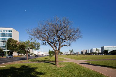 Brasilia, Brezilya - 15 Kasım 2016: Brezilya'nın başkenti Brasilia'daki Brezilya hükümetinin bakanlık binalarının sırası. Mimarinin ayrıntıları. 