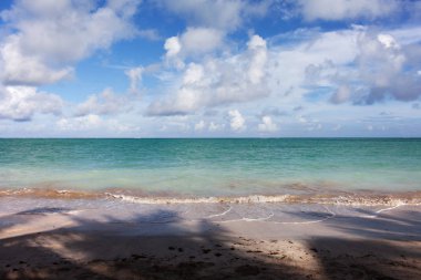 Maragogi, Alagoas State, Brezilya adlı güzel bir yer. Xareu (praia do xareu) adlı bir plaj. Fantastik manzara, berrak su ile büyük plaj. Cennet plajı, bulutlu mavi gökyüzü