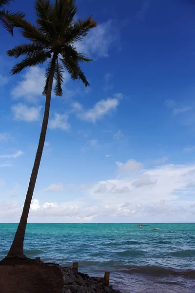 Prachtige Plek Genaamd Maragogi Alagoas Staat Brazilië Een Strand Genaamd — Stockfoto