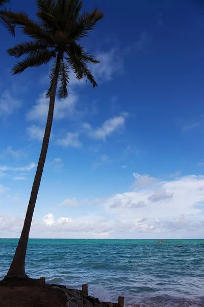 Prachtige Plek Genaamd Maragogi Alagoas Staat Brazilië Een Strand Genaamd — Stockfoto