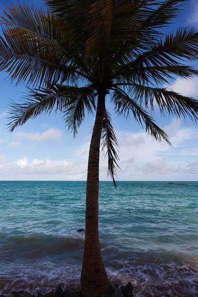 Prachtige Plek Genaamd Maragogi Alagoas Staat Brazilië Een Strand Genaamd — Stockfoto