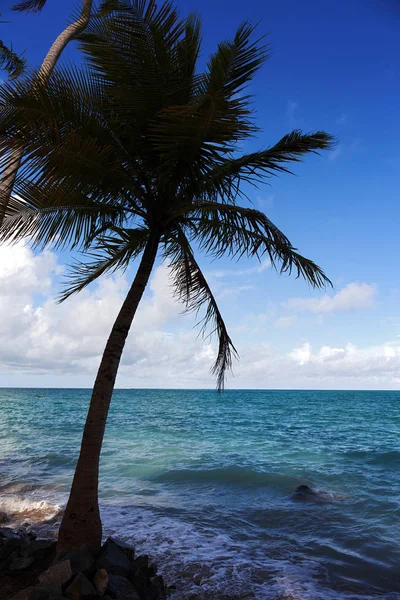 Een Prachtige Plek Genaamd Maragogi Alagoas Staat Brazilië Een Strand — Stockfoto
