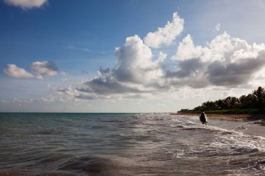 Gün batımı saati, Carneiros Beach, Pernambuco, Brezilya. 