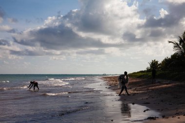 Gün batımı saati, Carneiros Beach, Pernambuco, Brezilya. 