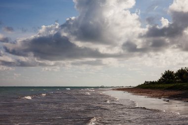 Miguel dos Milagres, Alagoas, Brezilya. Toque (praia do toque) adlı bir plaj. Fantastik manzara, berrak su ile büyük plaj. Cennet plajı, mavi gökyüzü. 