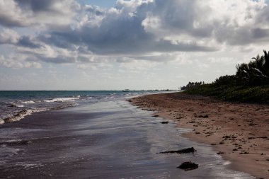 Miguel dos Milagres, Alagoas, Brezilya. Toque (praia do toque) adlı bir plaj. Fantastik manzara, berrak su ile büyük plaj. Cennet plajı, mavi gökyüzü. 