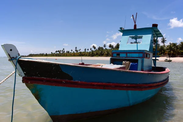 Голубая Рыбацкая Лодка Мигель Дос Милагрес Алагоас Бразилия Пляж Токе — стоковое фото