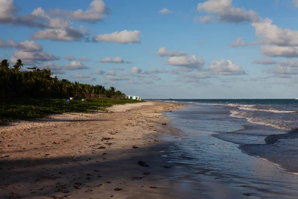 Miguel Dos Milagres Alagoas Brazil Beach Called Toque Fantastic Landscape — Stock Photo, Image