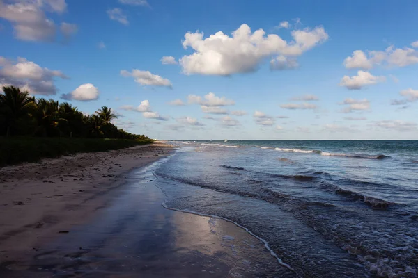 Miguel Dos Milagres Alagoas Brazil Beach Called Toque Fantastic Landscape — Stock Photo, Image