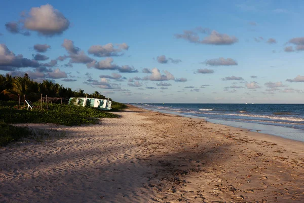 Miguel Dos Milagres Alagoas Brazil Beach Called Toque Fantastic Landscape — Stock Photo, Image