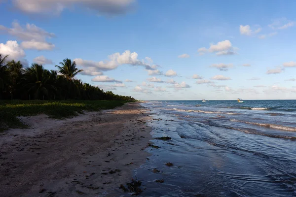 Miguel Dos Milagres Alagoas Brazil Beach Called Toque Fantastic Landscape — Stock Photo, Image