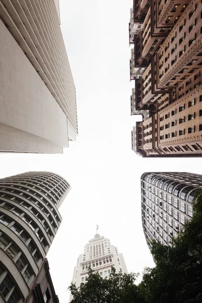 Beautiful perspective of buildings in downtown of Sao Paulo, Brazil