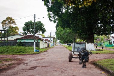 Ilha do Maraj'ın manzara görünümü
