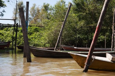 Ilha do Maraj'ın manzara görünümü