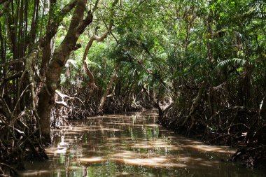 Ilha do Maraj'ın manzara görünümü