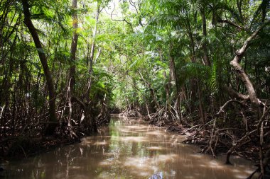 Ilha do Maraj'ın manzara görünümü