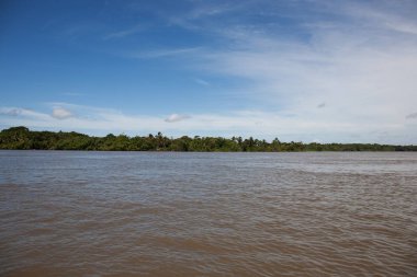 Ilha do Maraj'ın manzara görünümü