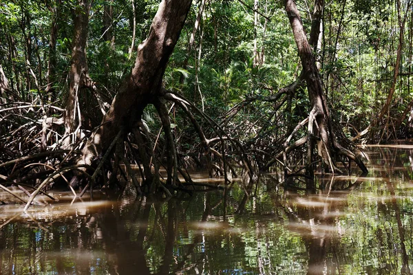 Ilha do Maraj'ın manzara görünümü
