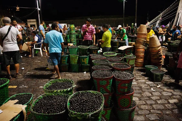 Brezilya, Belem City - Temmuz, 2017: Brezilya'da Belem şehrinin manzara görünümü