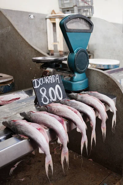 view of market place with fresh fishes on display