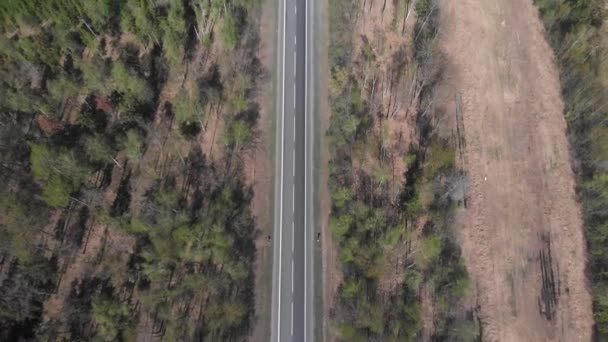 4k flymotiv bilde av vei innenfor skogsstripen – stockvideo