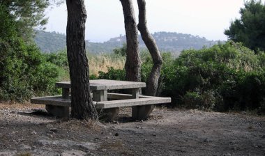 Ormanda beton tezgah ve piknik masası