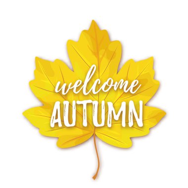 Akçaağaç sonbahar yaprak beyaz arka plan üzerinde izole hoş geldiniz sonbahar yazı